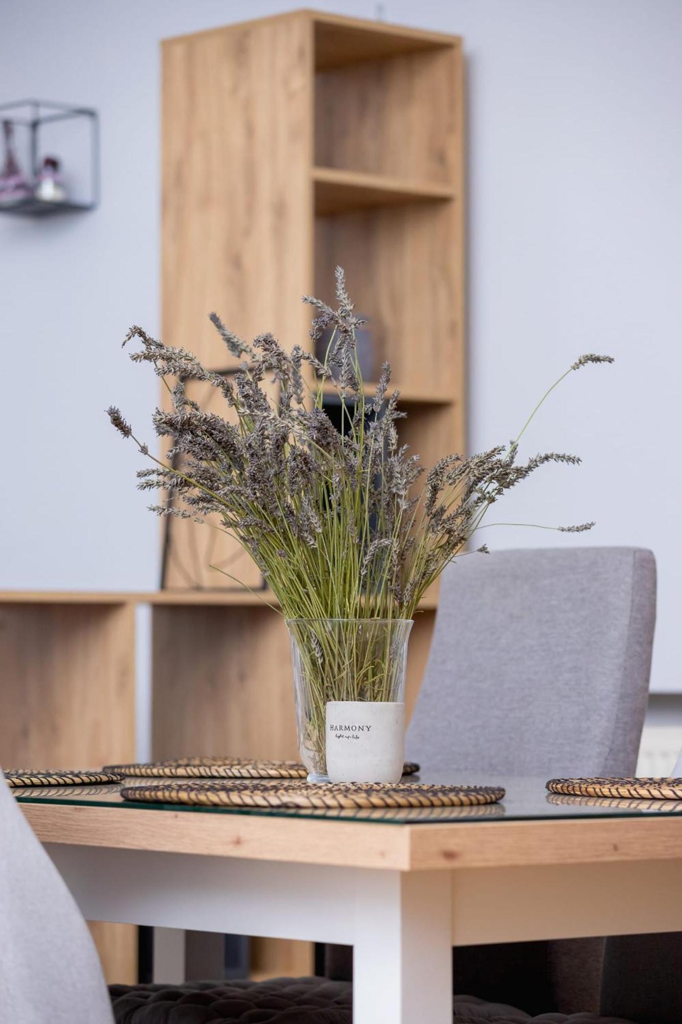Podwale Uj Downtown Cracow By Renters *